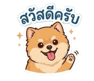 855137912