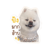 855139595
