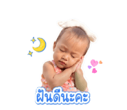 855139646