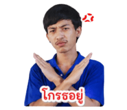 855139684