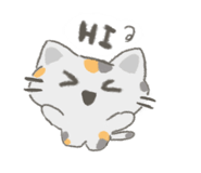 855140125