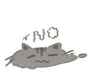 855140127