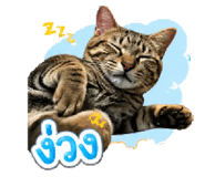 855140155