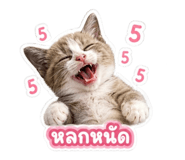 855140378