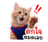 855141420