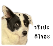 855142190
