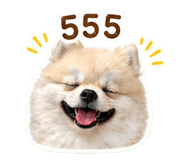 855142295