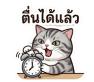 855143243