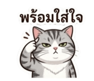 855143246