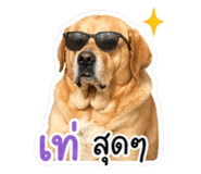 855144194