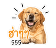 855144200