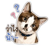 855144233