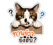 855144241
