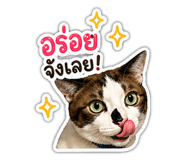 855144250