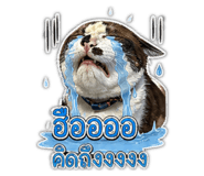 855144257
