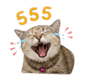 855144268