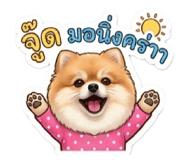 855144362