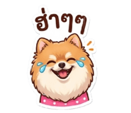 855144367