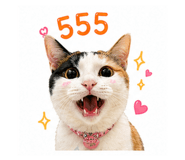 855144482
