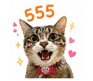 855144498