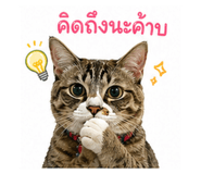 855144510