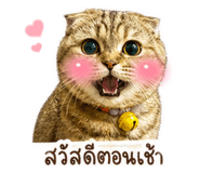 855145553