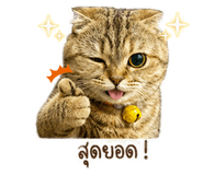 855145554