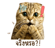 855145564