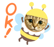 855145567