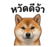 855146017