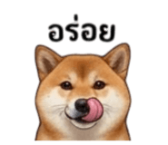 855146020