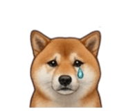 855146028