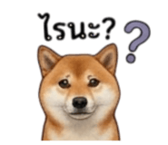 855146030