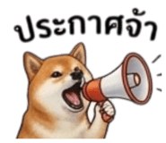 855146035