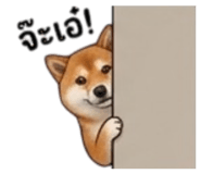 855146036