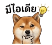 855146038