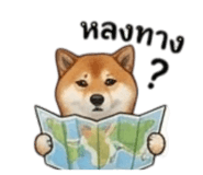 855146040