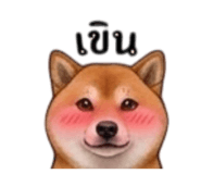 855146041