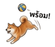 855146042