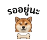 855146045