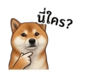855146049