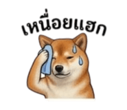 855146050