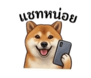 855146054