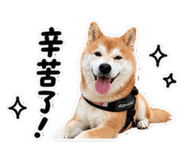 855150969