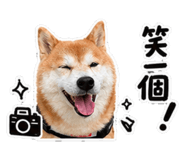 855150981