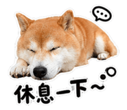 855150984
