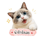 855151169