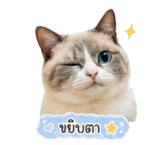 855151170