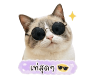 855151171