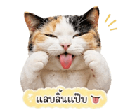 855151174